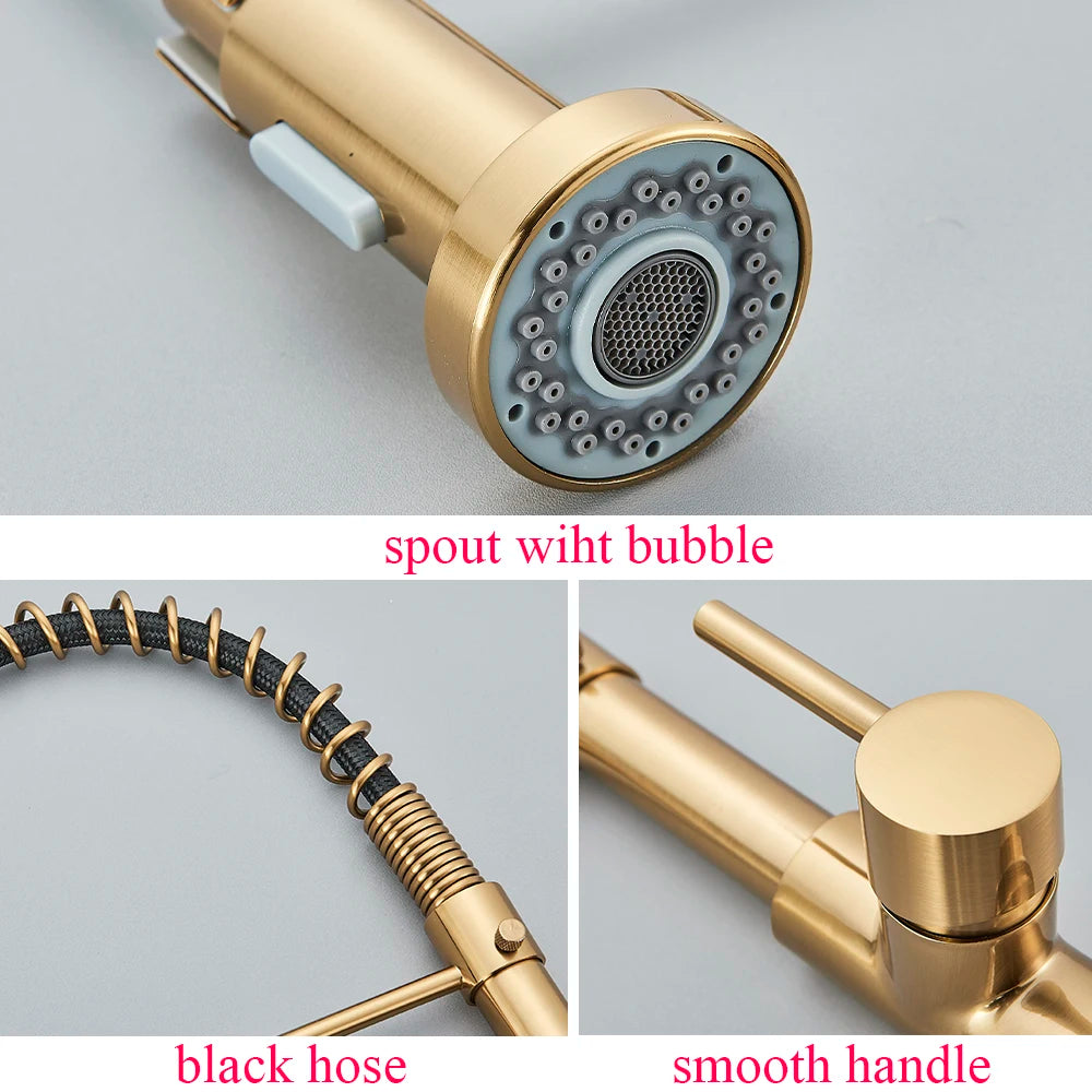 SAFLIHCAR Kitchen Sink Faucet With Single Handle Pull Down Sprayer