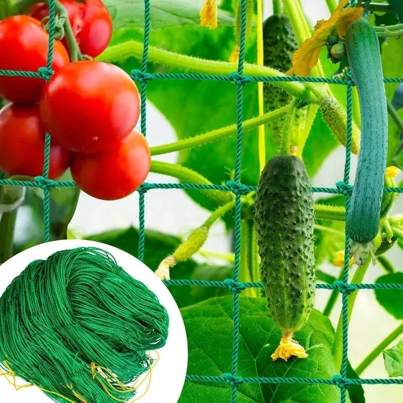 Plastic Garden Plant Climbing Net Trellis For Tomatoes Grapes Cucumber