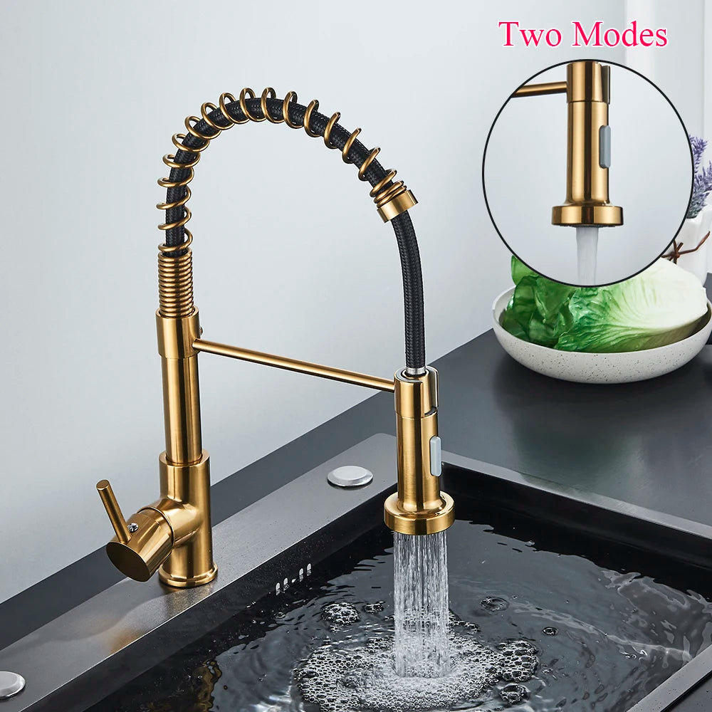 SAFLIHCAR Kitchen Sink Faucet With Single Handle Pull Down Sprayer
