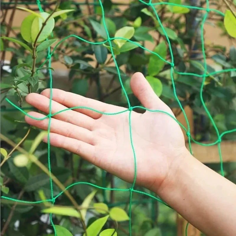 Plastic Garden Plant Climbing Net Trellis For Tomatoes Grapes Cucumber