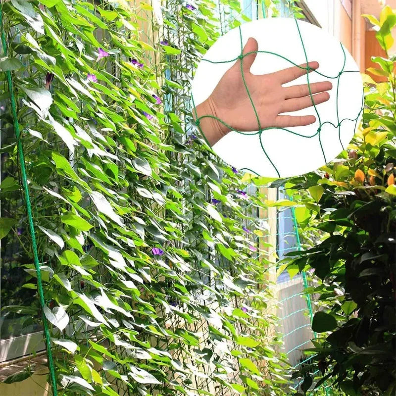 Plastic Garden Plant Climbing Net Trellis For Tomatoes Grapes Cucumber