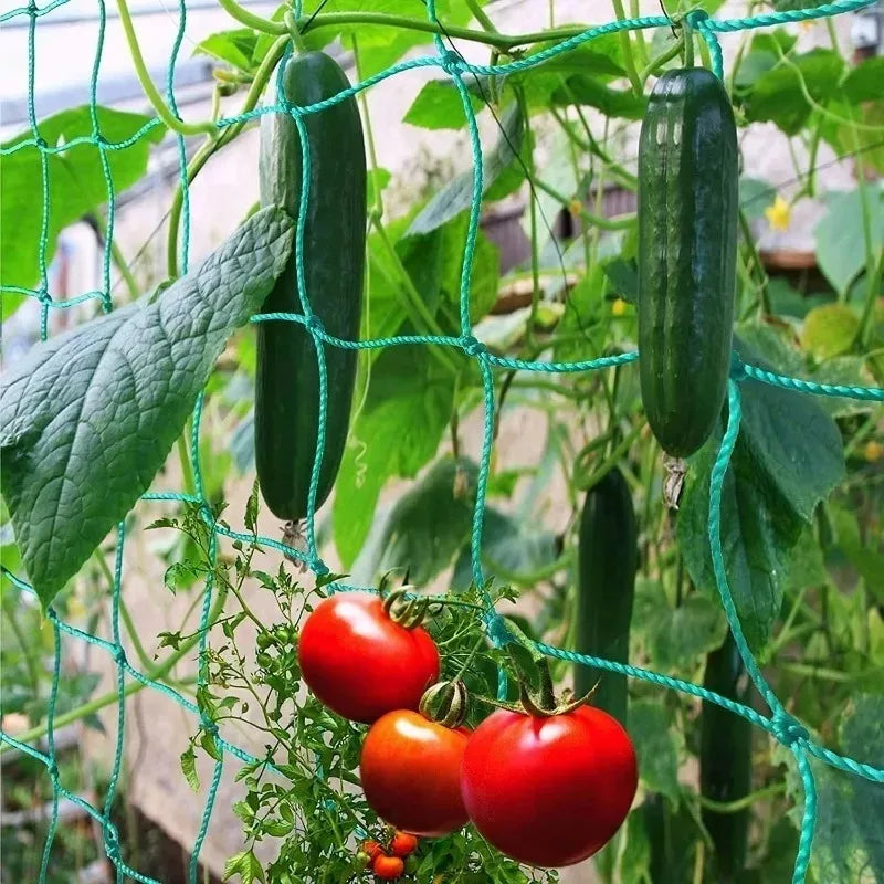 Plastic Garden Plant Climbing Net Trellis For Tomatoes Grapes Cucumber