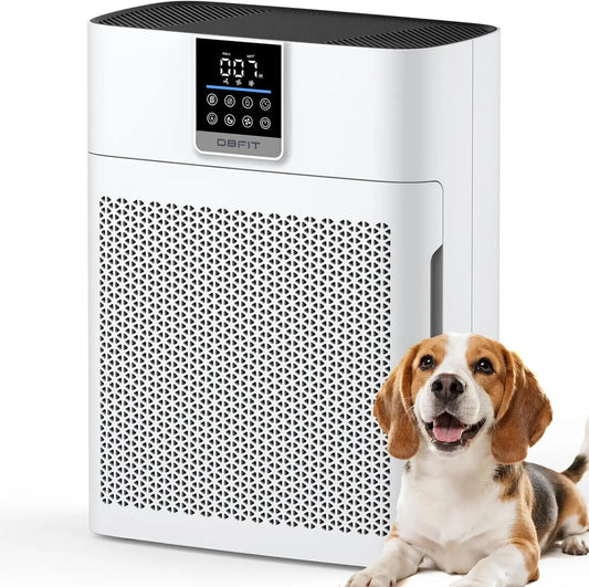 Large Room Air Purifier With HEPA Filter And PM25 Sensor