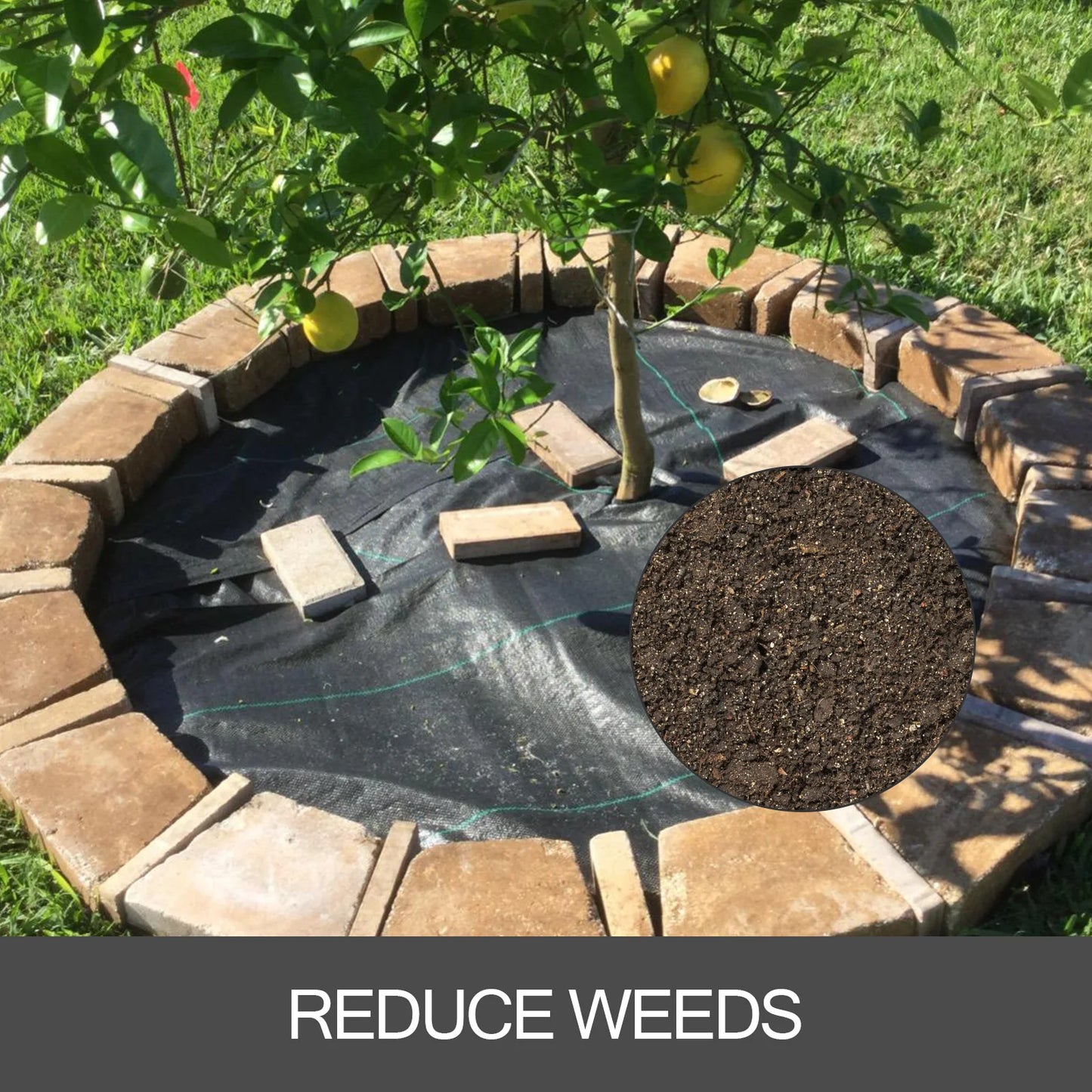SucceBuy Landscape Fabric Geotextile Weed Barrier Ground Cover 1.5oz
